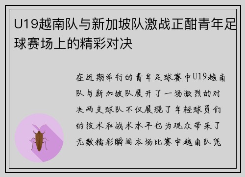 U19越南队与新加坡队激战正酣青年足球赛场上的精彩对决
